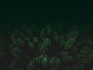 thiết kế back Vinhomes Green Paradise Cần Giờ